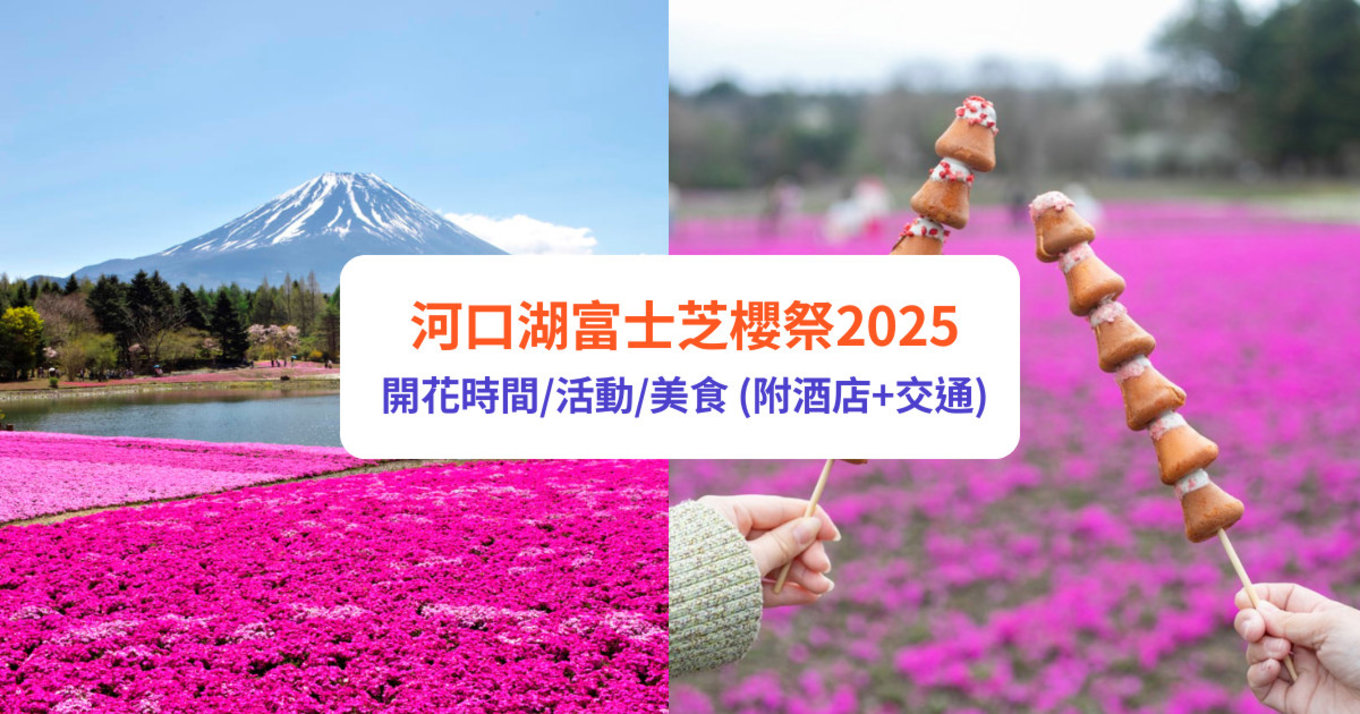 富士芝櫻 河口湖 富士芝櫻祭 河口湖櫻花 富士芝櫻祭2025 河口湖2025