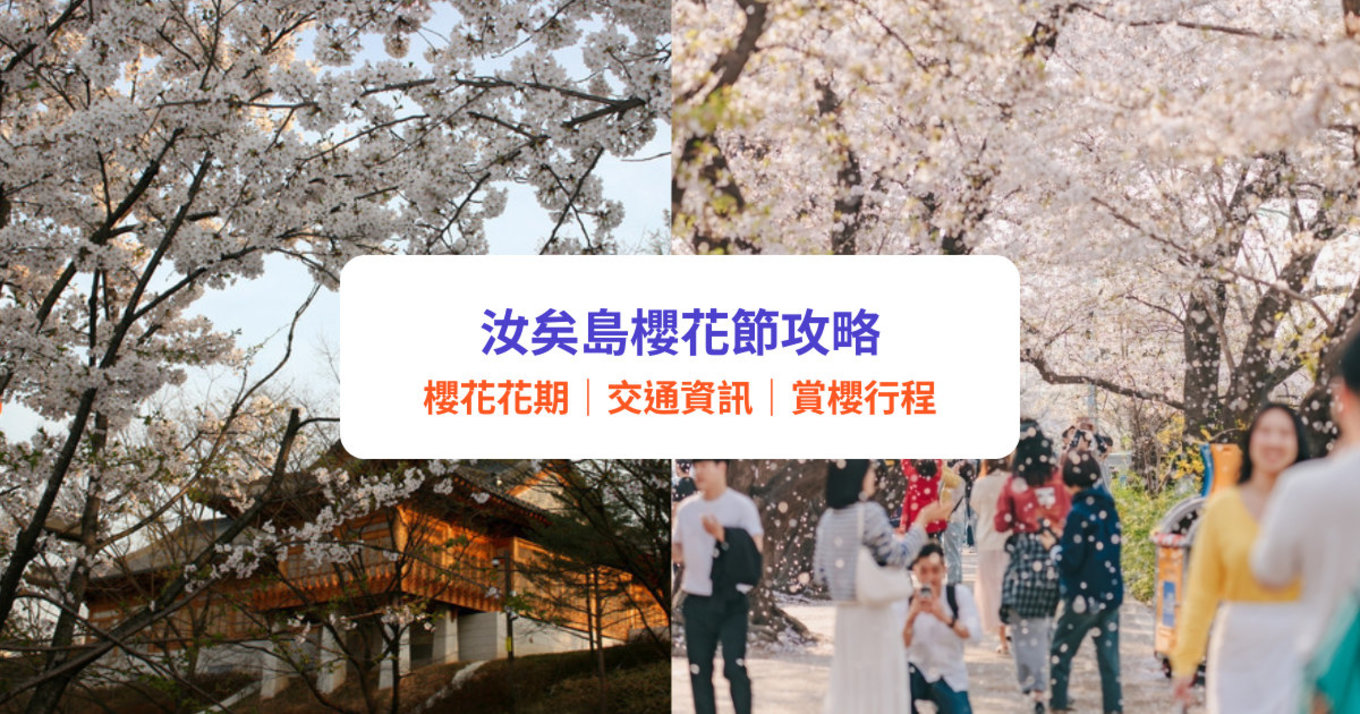 汝矣島櫻花節2025|首爾賞櫻必訪 - 絕美永登浦汝矣島櫻花慶典!附交通、周邊景點、一日遊攻略