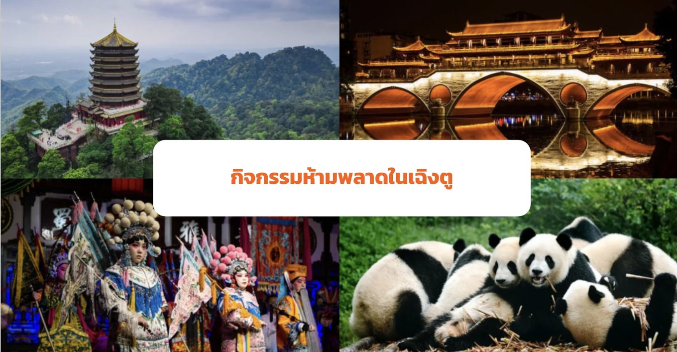 top popular activities in Chendu 