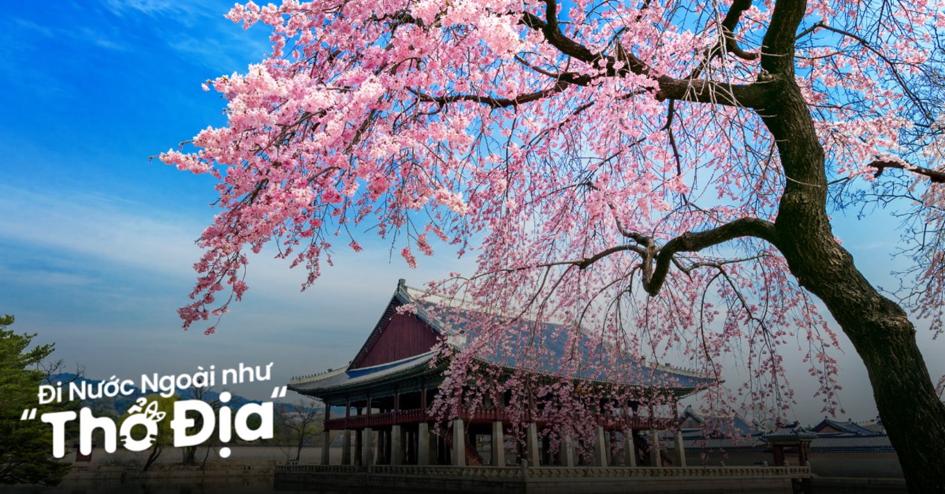 du-lich-han-quoc-nhat-ban-9-ngay-8-dem