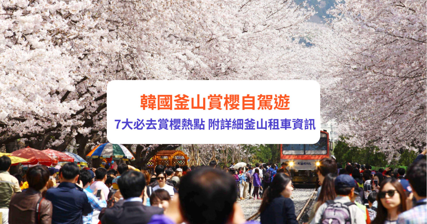 釜山賞櫻自駕遊