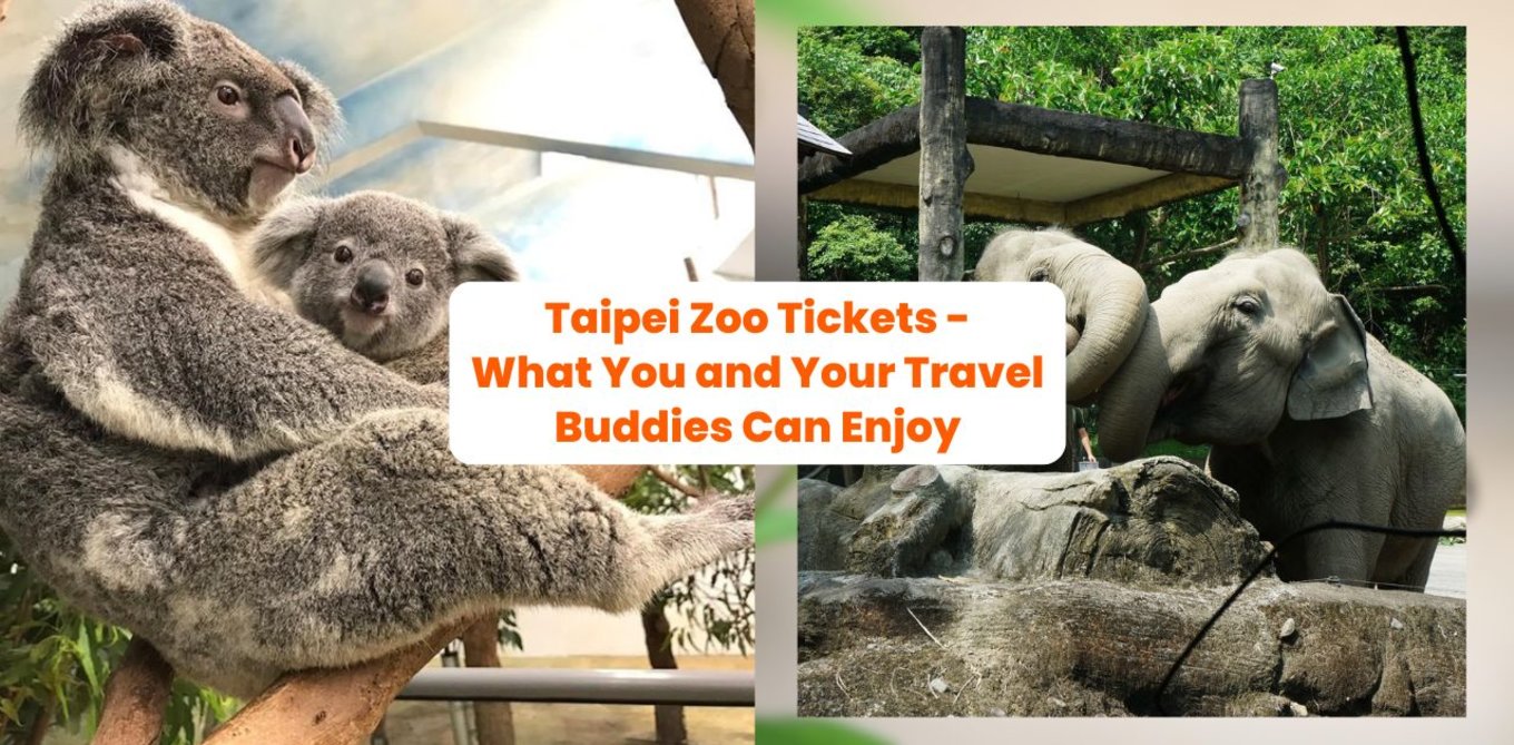 Taipei Zoo Tickets - What You and Your Travel Buddies Can Enjoy