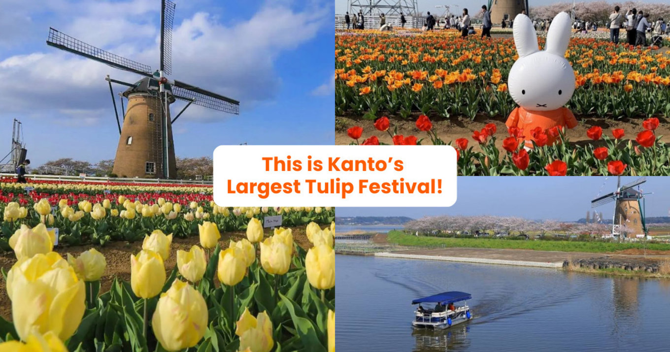 Sakura Tulip Festival 2025