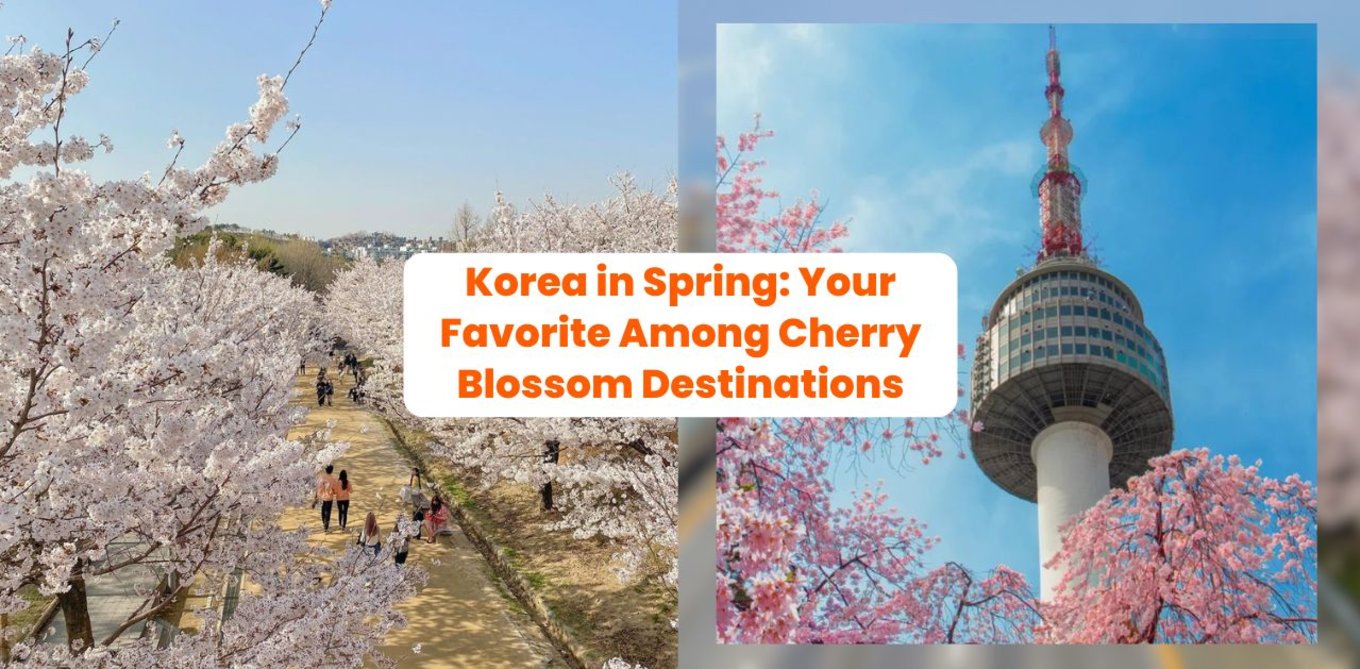 Korea in Spring Should Be Your Favorite Among Cherry Blossom Destinations