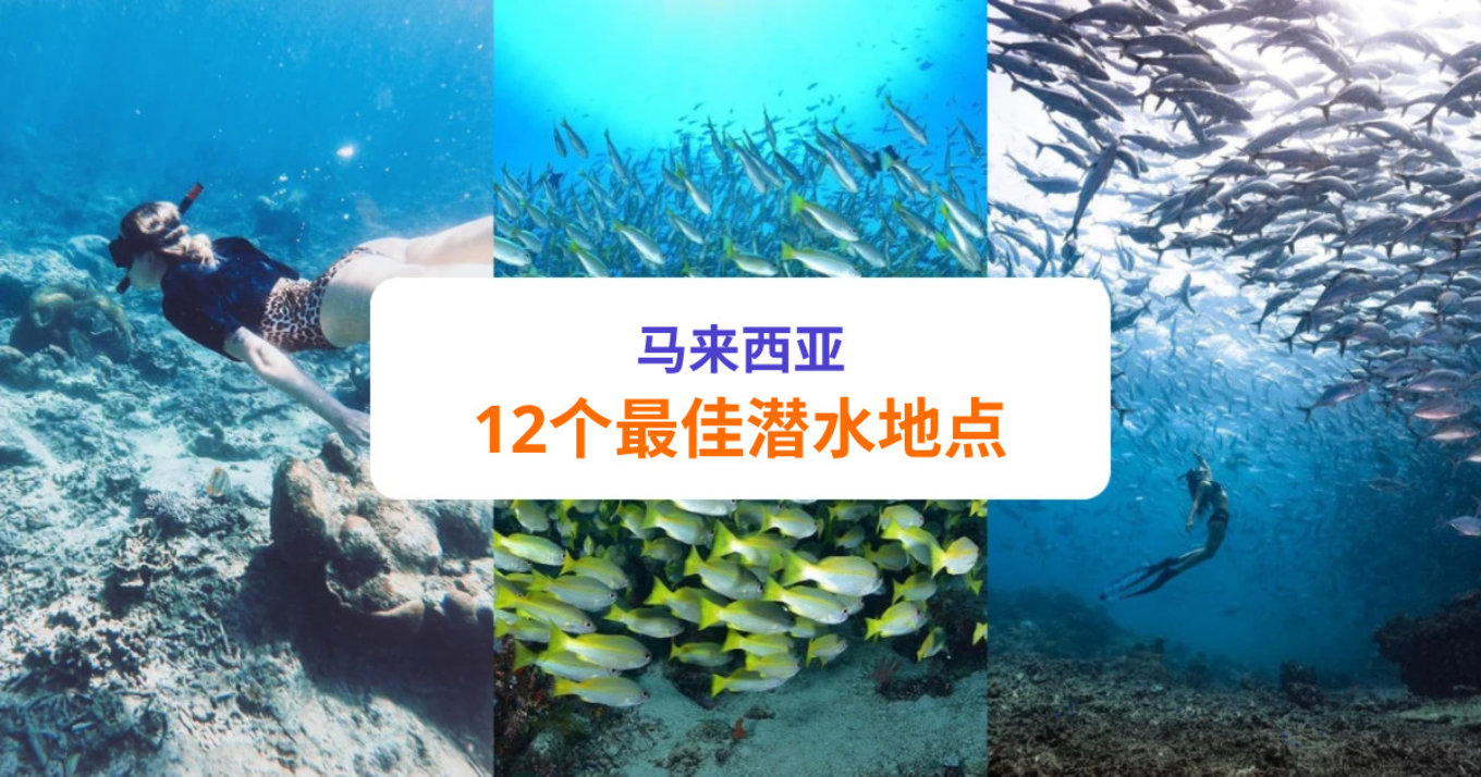 马来西亚最佳潜水地点