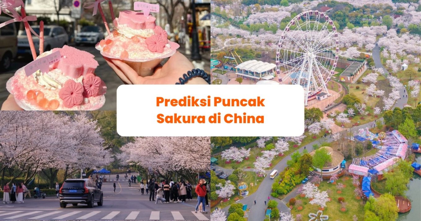 Sakura di China - Blog Cover ID