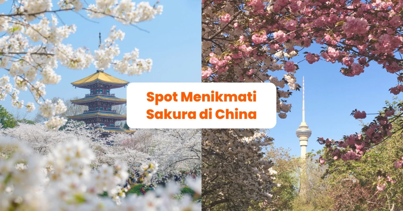 Spot Sakura di China - Blog Cover ID