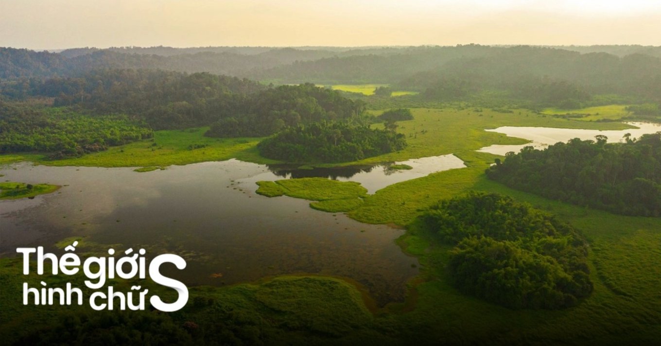 vuon-quoc-gia-nam-cat-tien