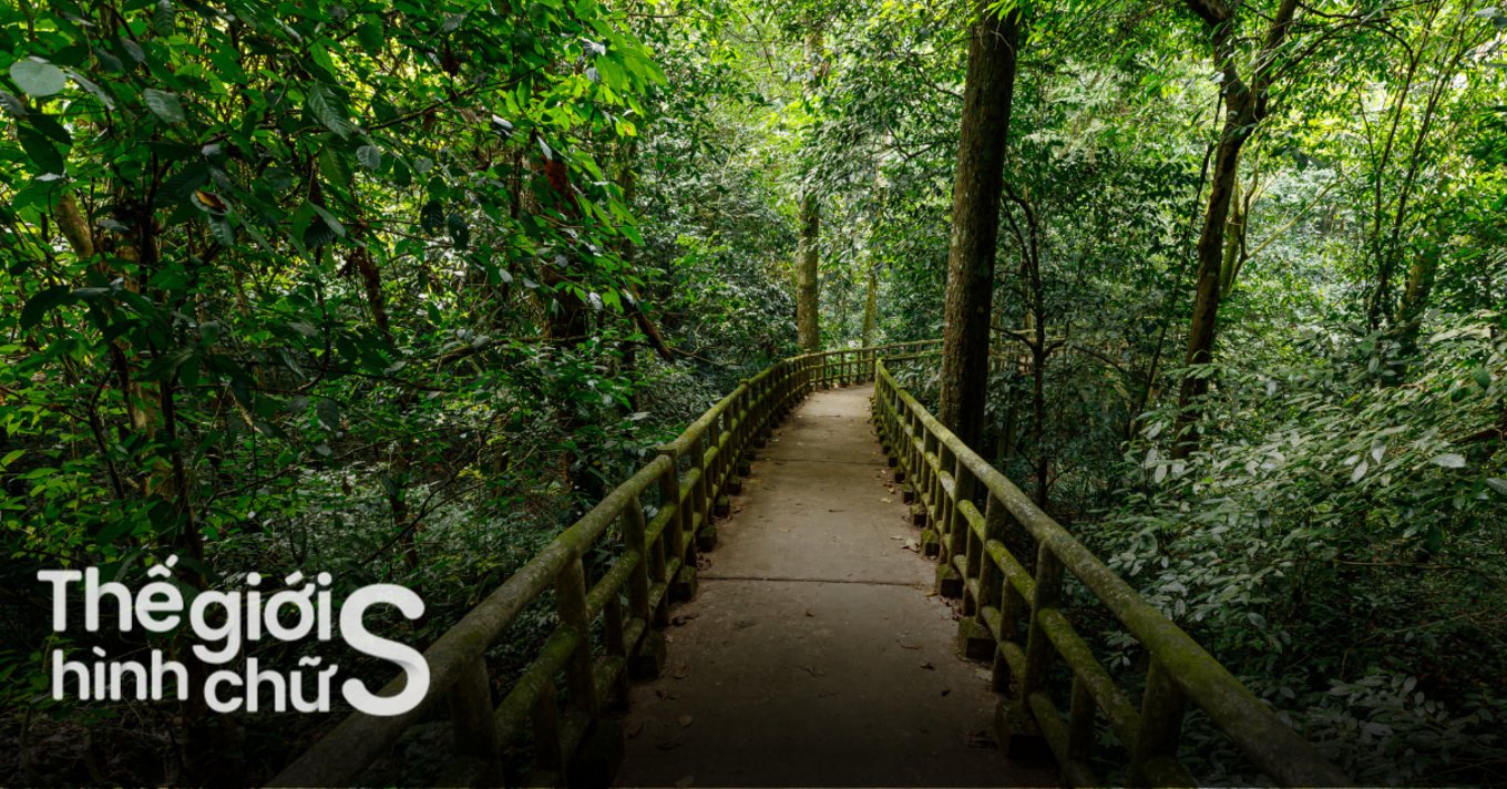 vuon-quoc-gia-cuc-phuong