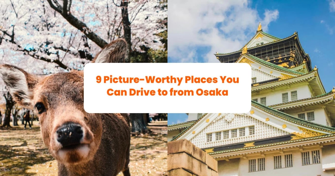 Places to take pictures in Osaka