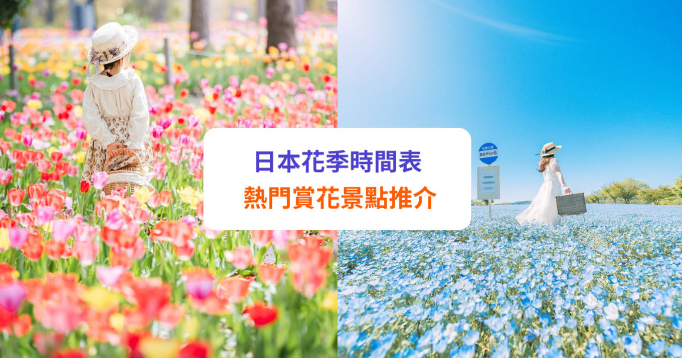 【日本花季】賞花時間表 + 熱門景點推薦