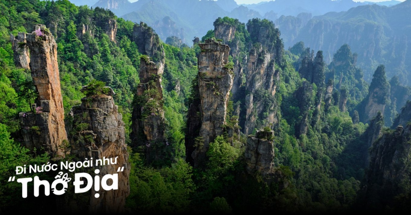 cong-vien-truong-gia-gioi