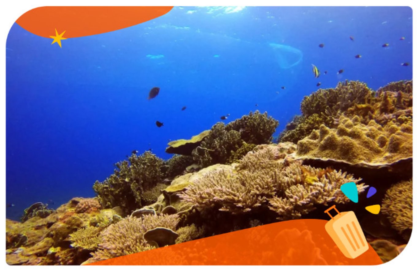 蘭嶼三天兩夜住宿、行程、交通、花費