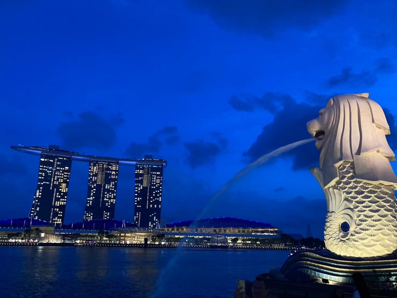 シンガポール・チャンギ空港で無料の市内トランジットツアー体験🇸🇬 〜乗り継ぎ時間を有効活用✈️〜　マーライオン　マリーナベイサンズ