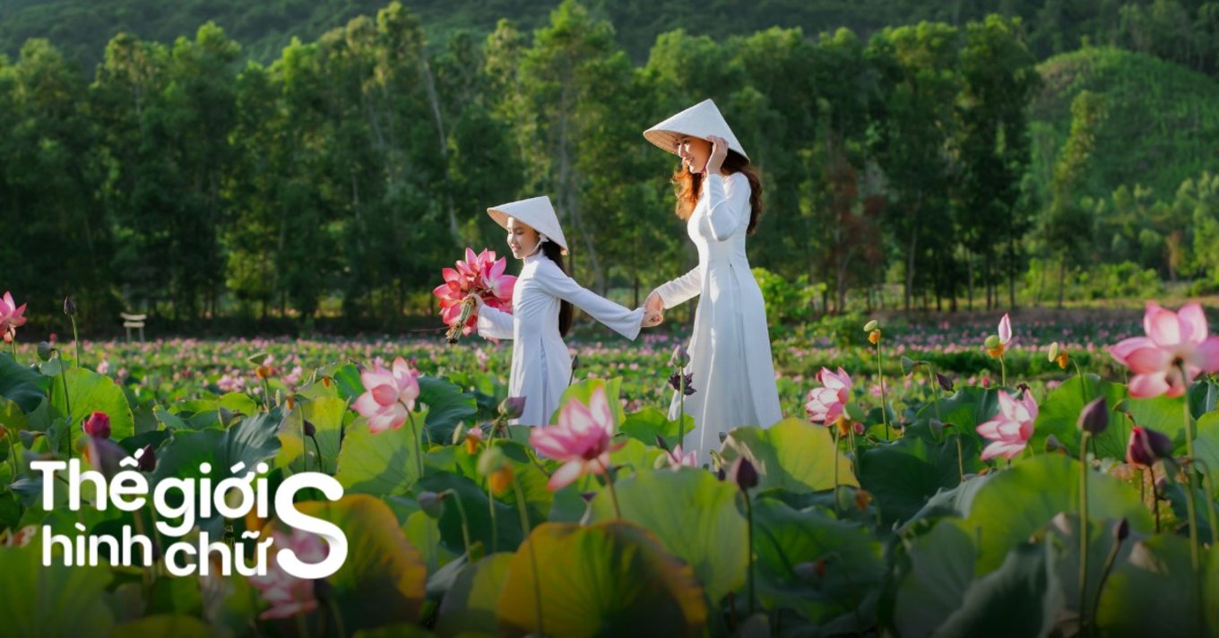 viet nam sap nhap tinh thanh