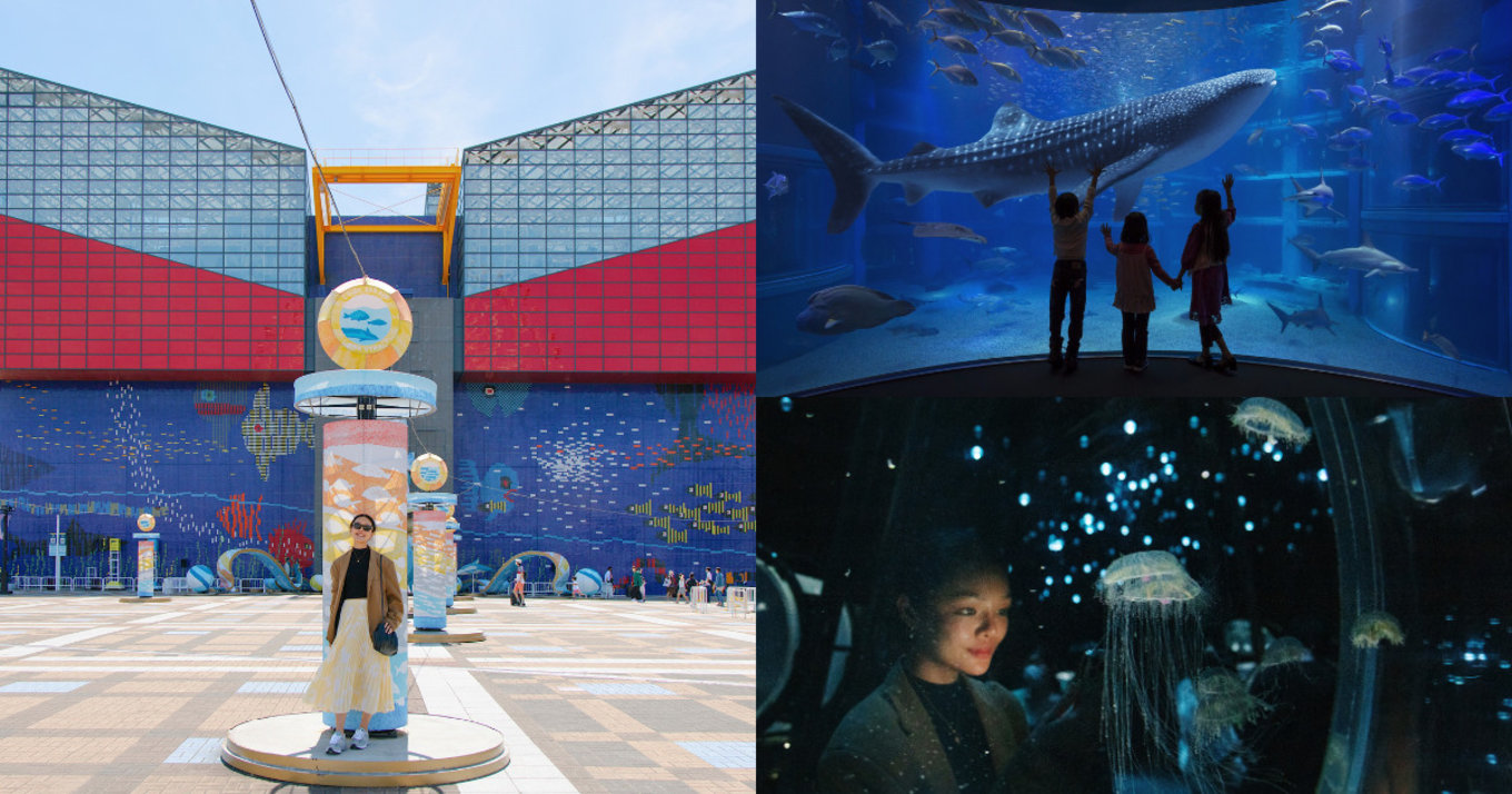 a-guide-to-osaka-aquarium-kaiyukan banner