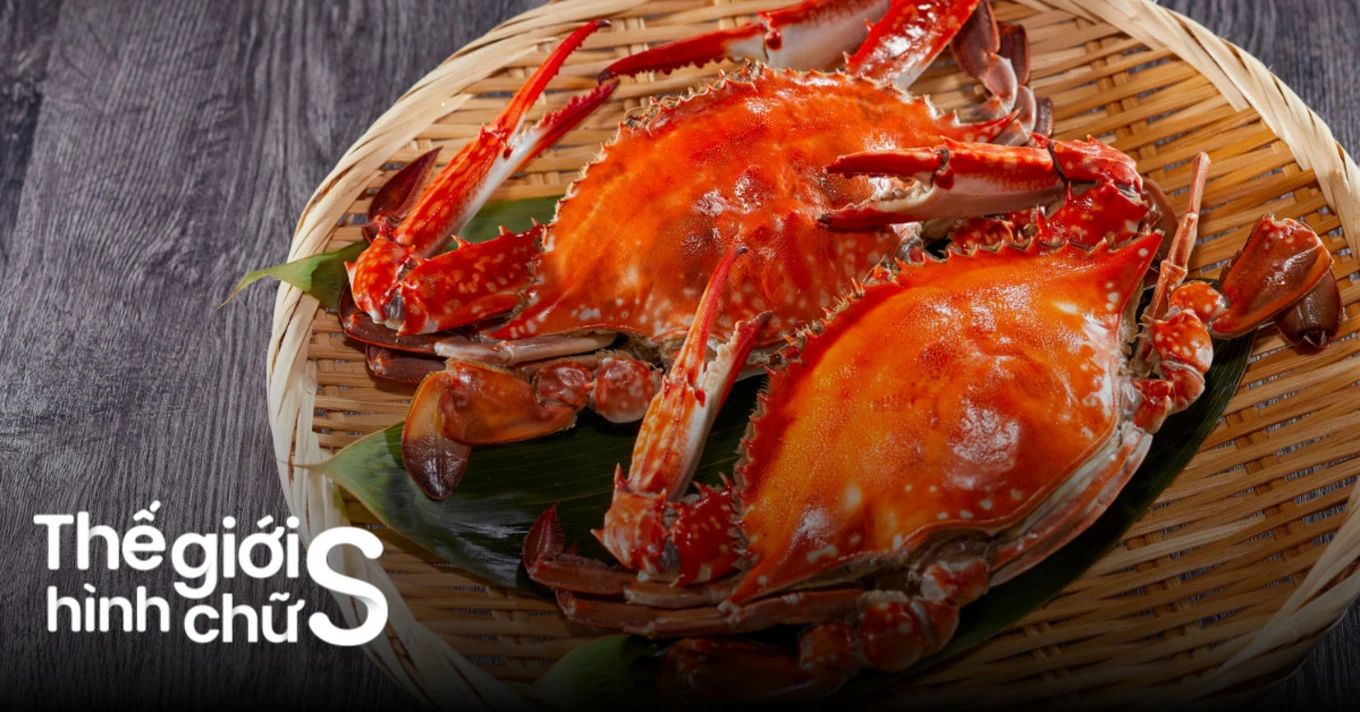 Du lịch Ẩm thực Đặc sản miền Tây bạc liêu, cần thơ, sóc trăng, hậu giang, kiên giang, an giang Phú Quốc - Hà Tiên - An Giang - Châu Đốc, cà mau, tiền giang, trà vinh, bến tre, vĩnh long, đồng tháp, long an, tây ninh | liên hệ Quảng cáo 0915326788 phuc0915326788@gmail.com