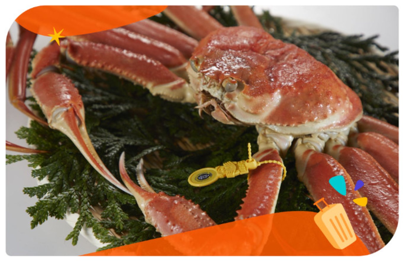 新潟、北陸螃蟹