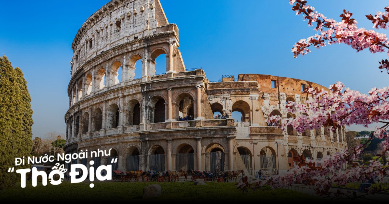 dau-truong-colosseum