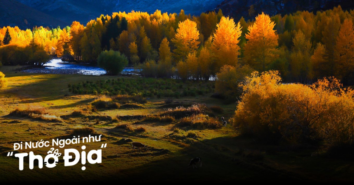 dia-diem-du-lich-trung-quoc-mua-thu