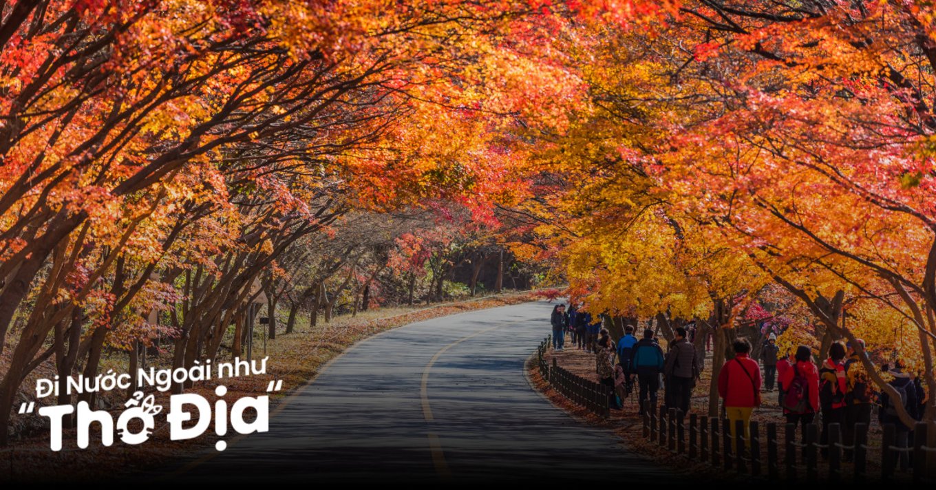 dia-diem-ngam-la-do-han-quoc