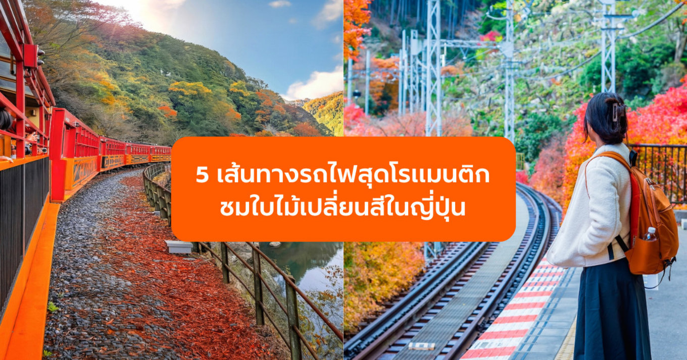 5 เส้นทางรถไฟสุดโรแมนติกชมใบไม้เปลี่ยนสีในญี่ปุ่น