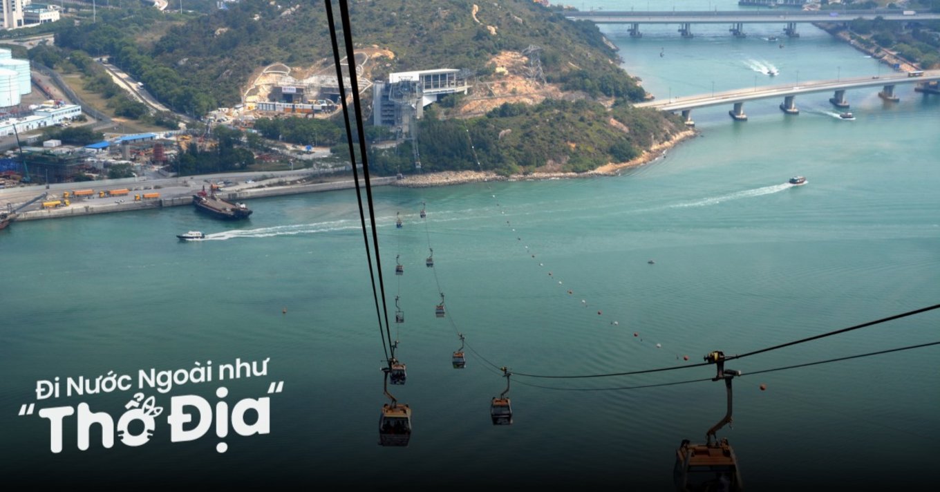 dai-nhi-son-hong-kong