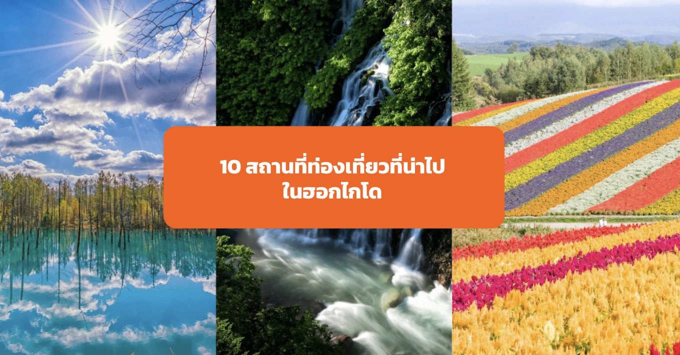 10 สถานที่ท่องเที่ยวที่น่าไปในฮอกไกโดสำหรับคนรักธรรมชาติ