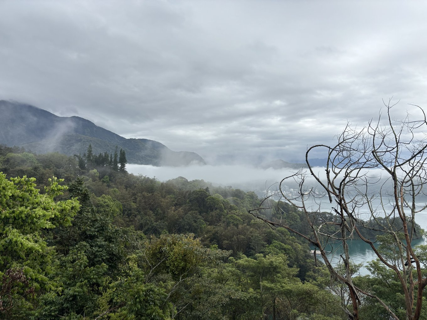 ひとり旅でも楽しめる！台中【日月潭】はツアー参加がおすすめです。　湖　曇り　森　山