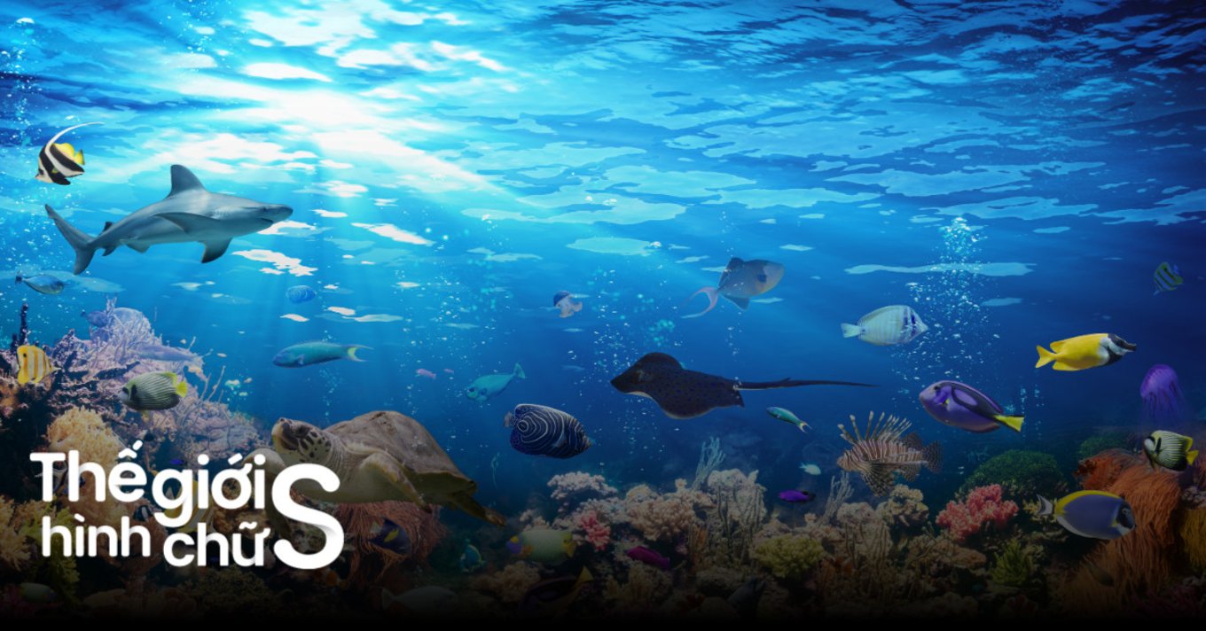 vien-hai-duong-hoc-nha-trang