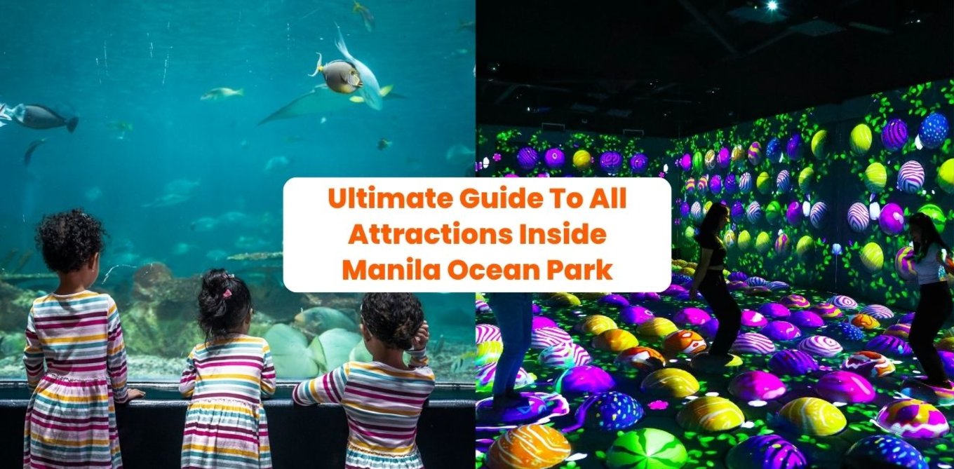 Ultimate Guide To All Attractions Inside Manila Ocean Park