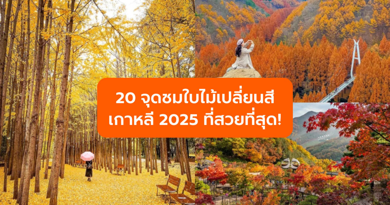 20 จุดชมใบไม้เปลี่ยนสีเกาหลี 2025 ที่สวยที่สุด!