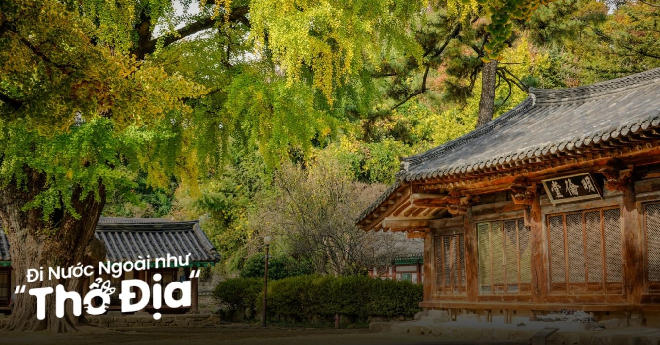 du-lich-han-quoc-tu-tuc