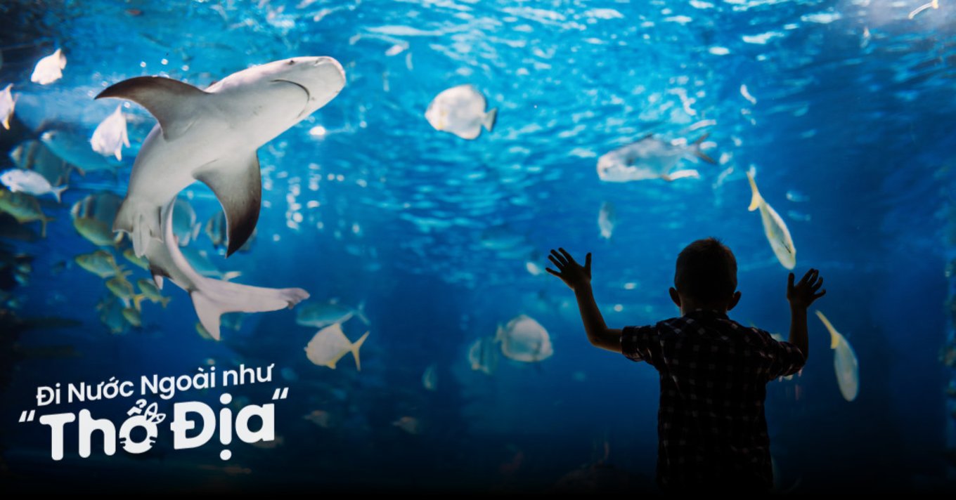 thuy-cung-sea-life-sydney