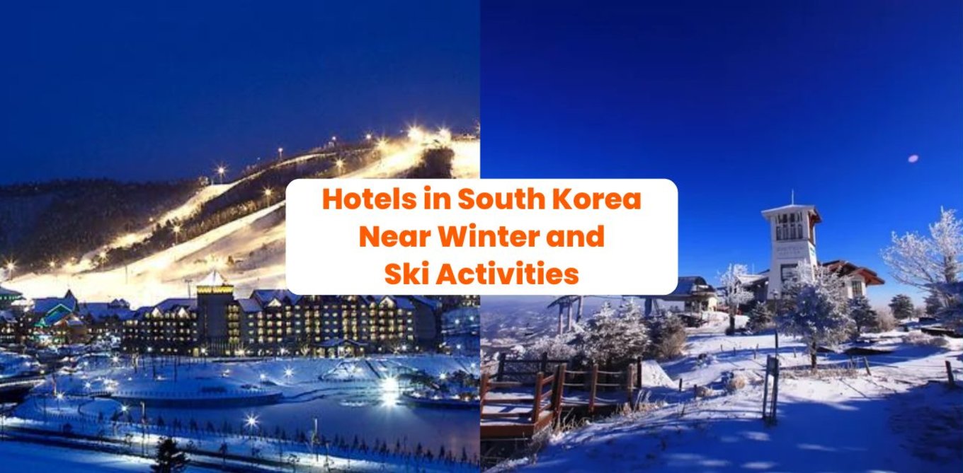 Hotels in South Korea Near Winter and Ski Activities