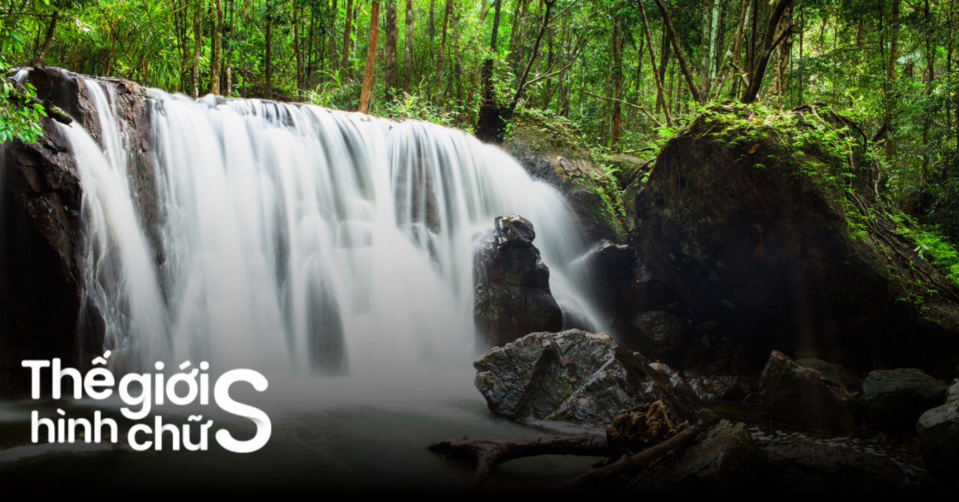 vuon-quoc-gia-phu-quoc