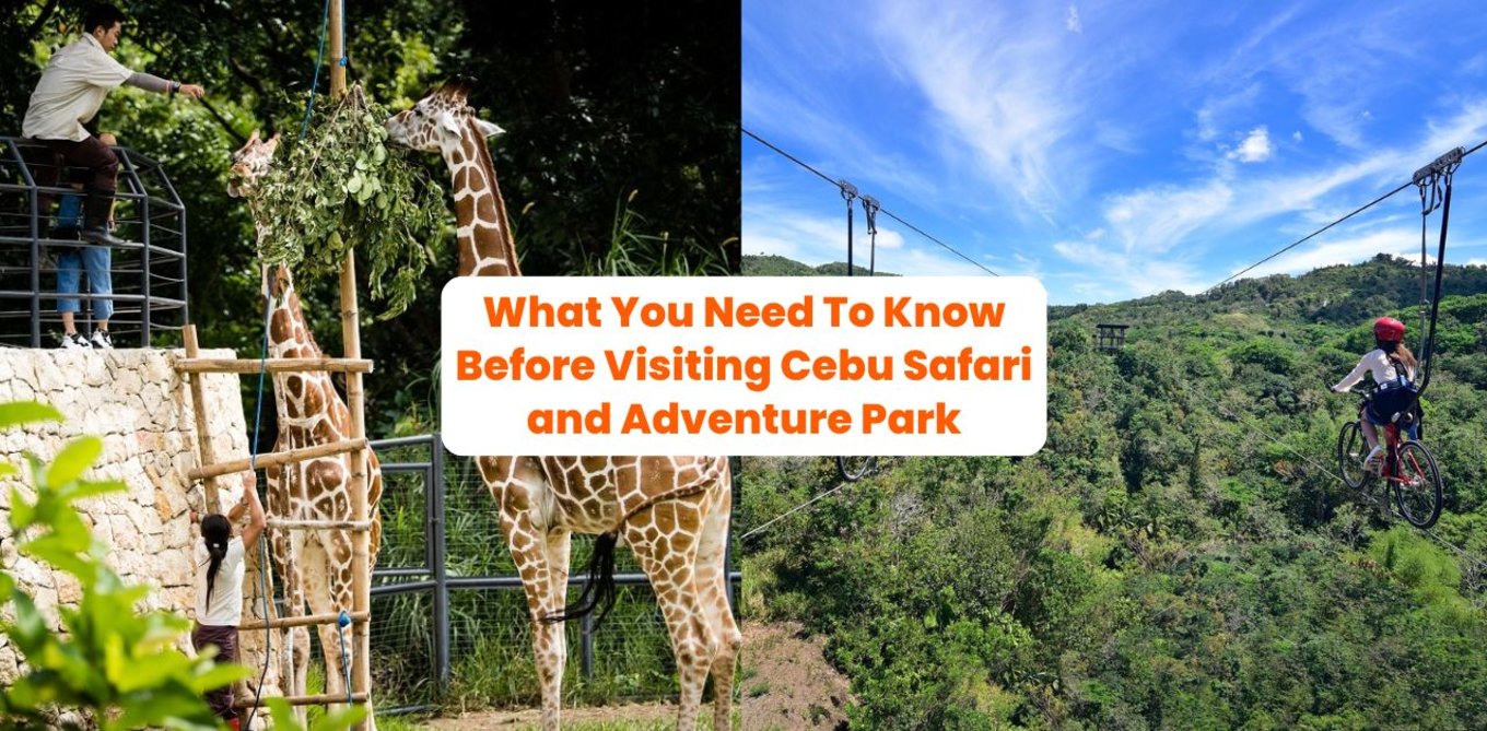 What You Need To Know Before Visiting Cebu Safari and Adventure Park
