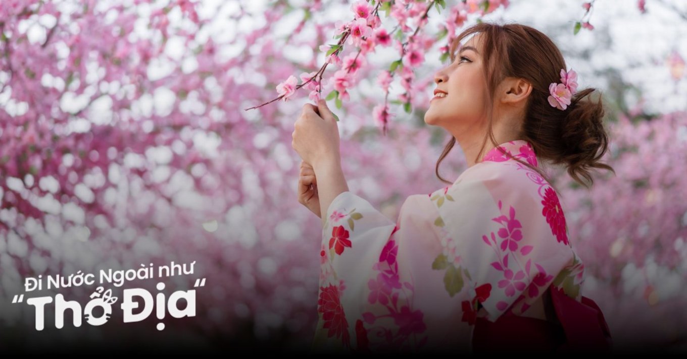 12 Địa Điểm Du Lịch Nhật Bản Mùa Xuân Đẹp Lung Linh