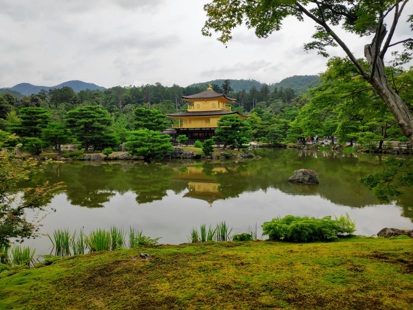 A golden temple in Kyoto