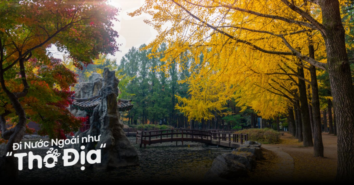 Du lịch Gangwon-do: 10 Địa Điểm Nhất Định Phải Đi Cho Người Lần Đầu