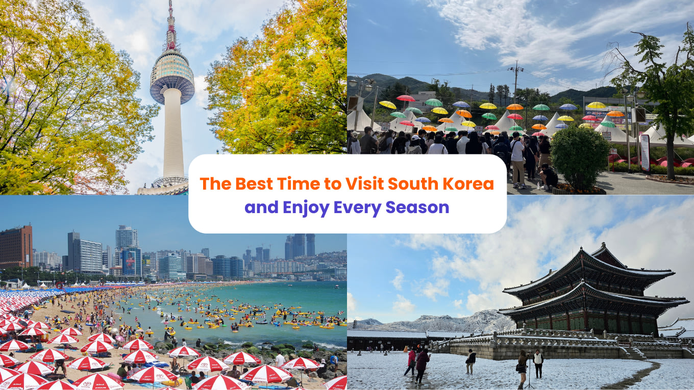 Seasonal travel highlights in South Korea across spring, summer, autumn, and winter