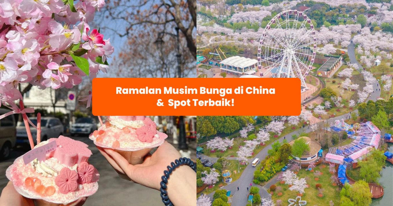 musim bunga di china klook my