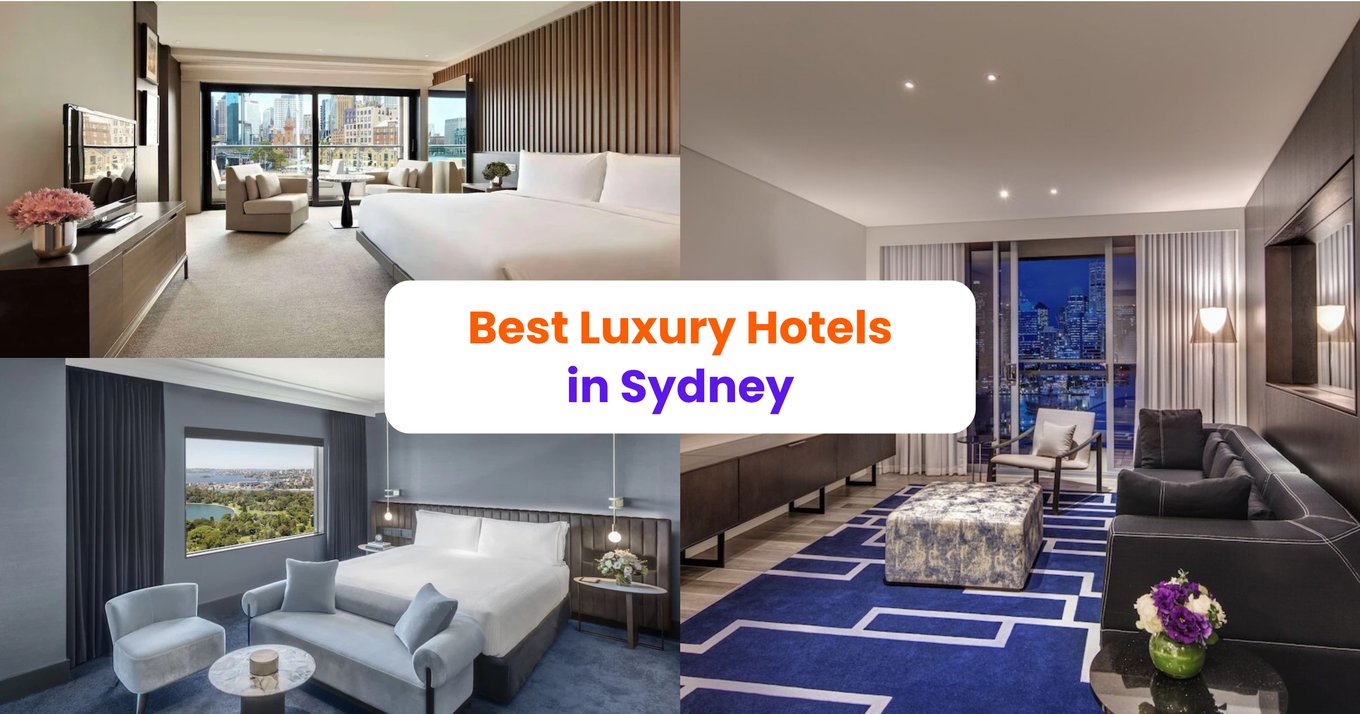 Collage of luxury hotels in Sydney with modern rooms and city views