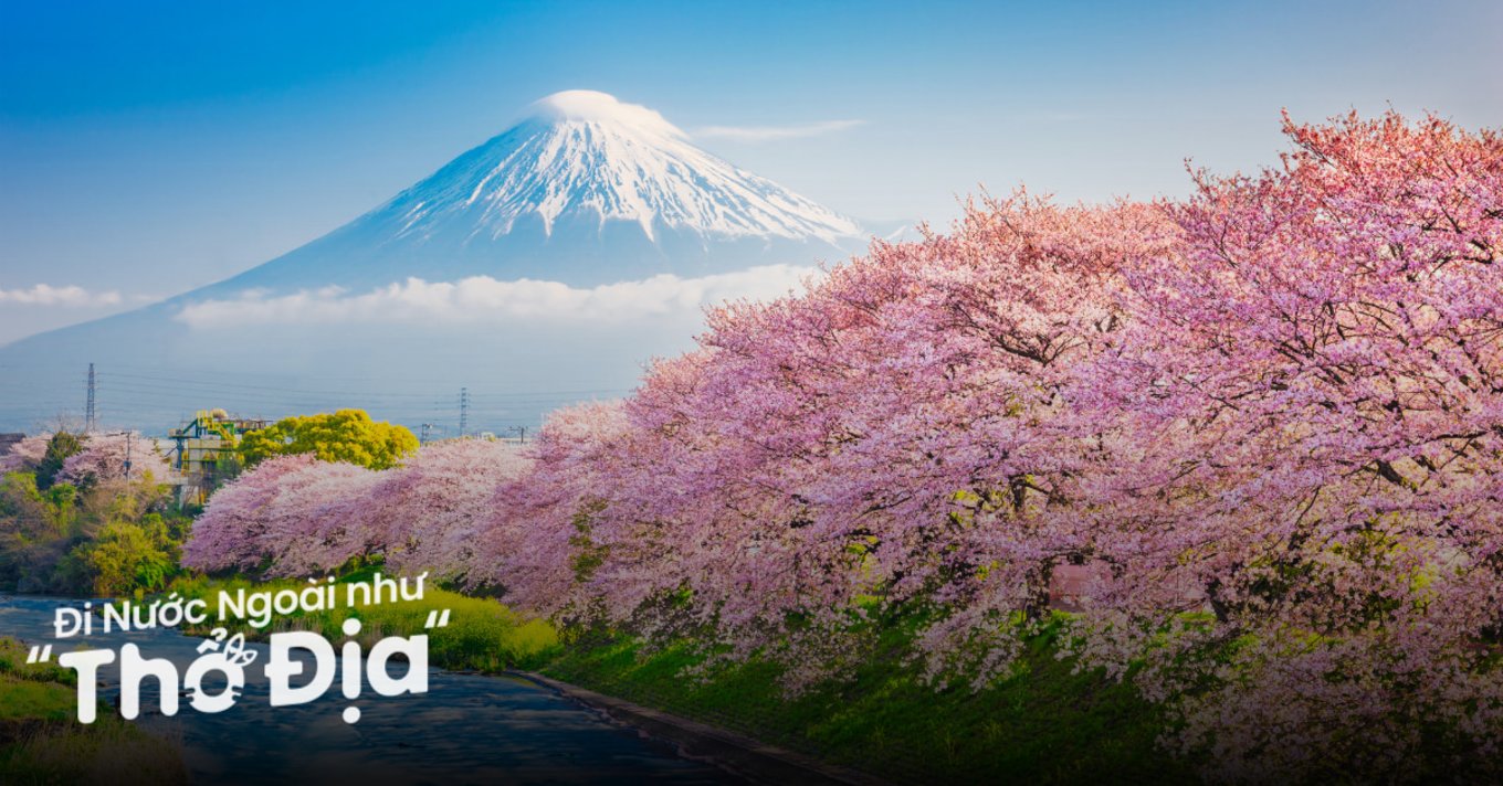 8 Trải Nghiệm Thiên Nhiên Đáng Thử Khi Du Lịch Nhật Bản