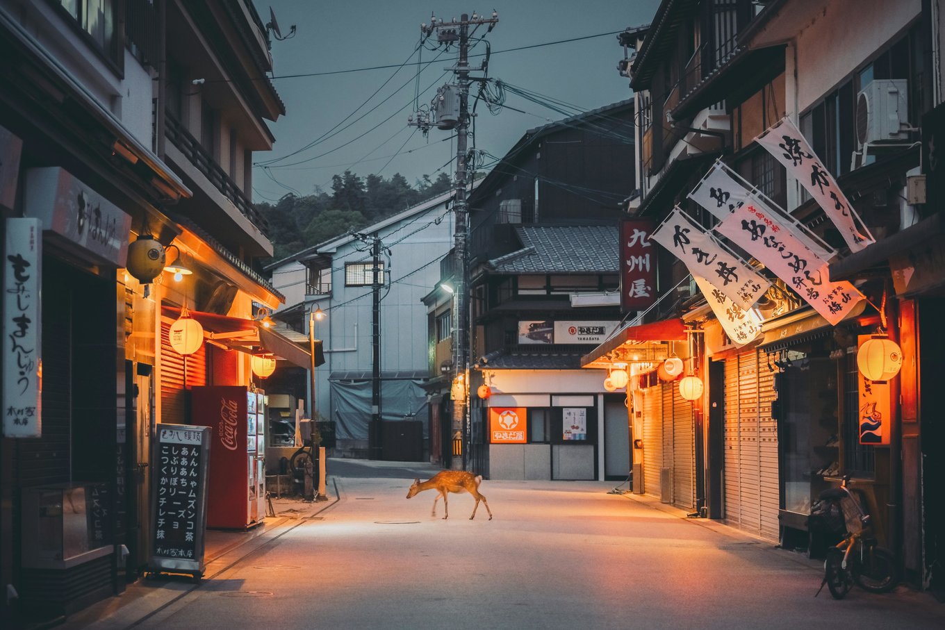 Hatsukaichi, Hiroshima, Japan  | Photo Credit: Ken Cheung on Pexels