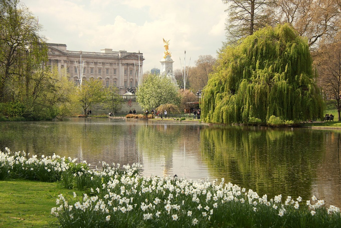 Springtime park and lake near Buckingham Palace in London