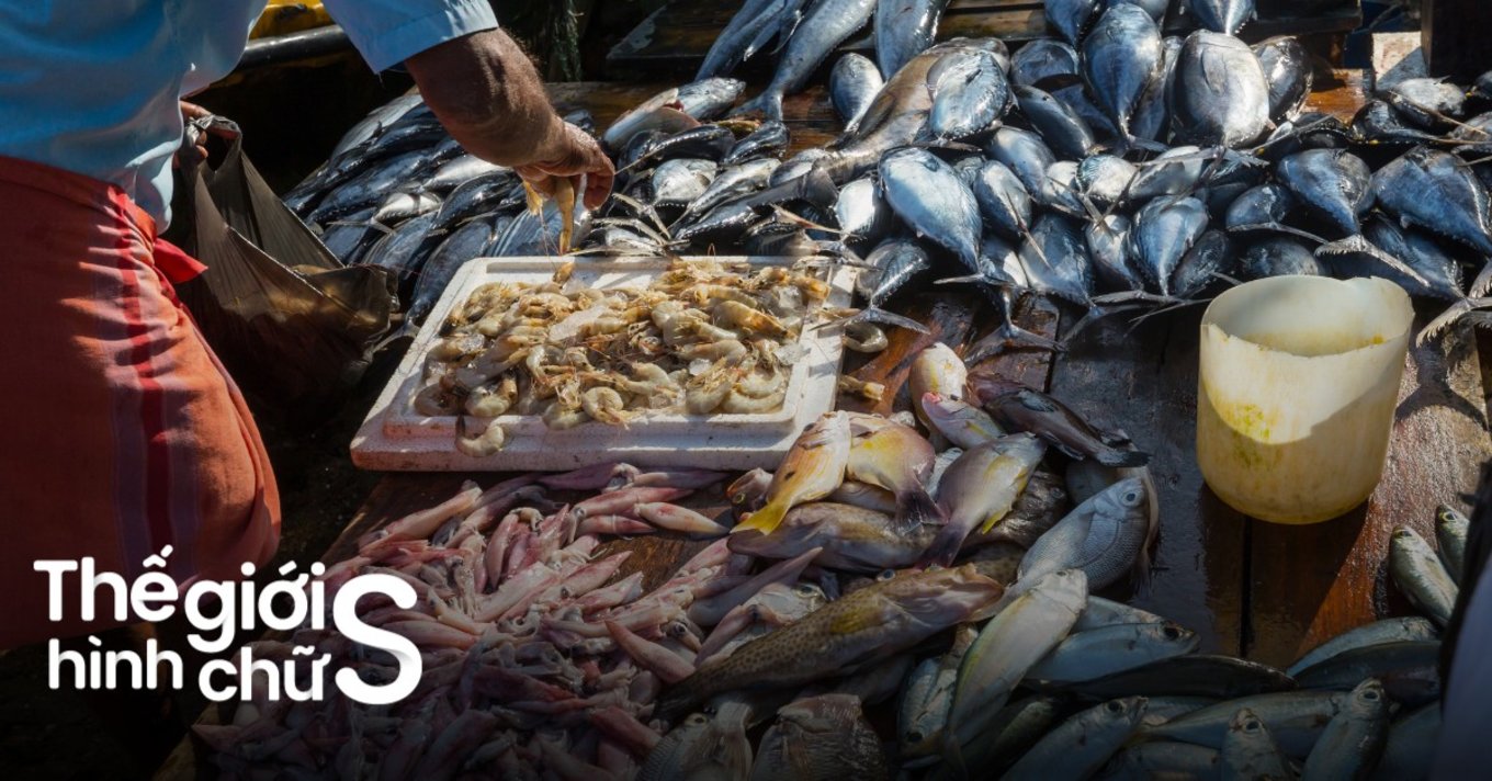 Có Cả Một Thiên Đường Ẩm Thực Ở Chợ Hải Sản Vũng Tàu