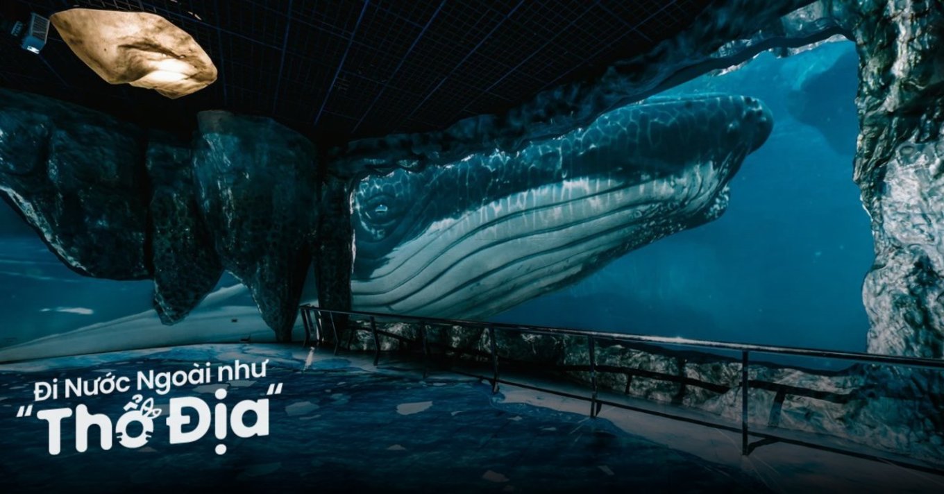 bao-tang-sinh-vat-bien-quoc-gia-dai-loan