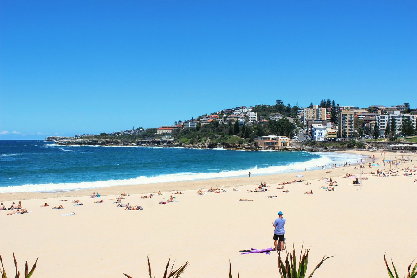 Bondi Beach in Sydney | Photo Credits: Wingspan Artist on Pexels