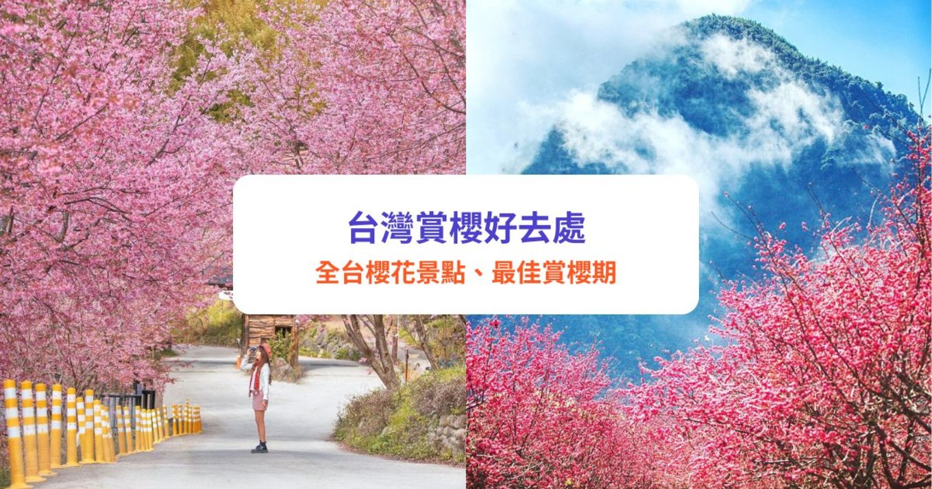 台灣櫻花2026,台灣櫻花,台灣賞櫻好去處